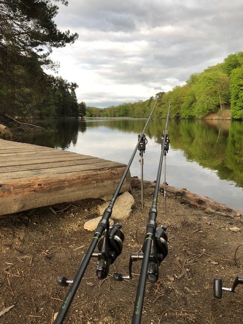 carp fishing rods set up on side of lake