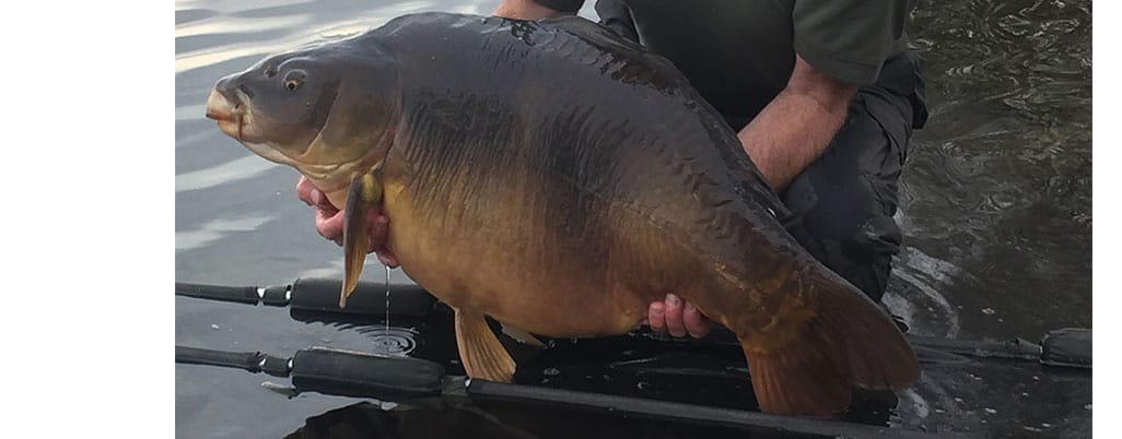 Carp Fishing in Northern France: Abbey Lakes