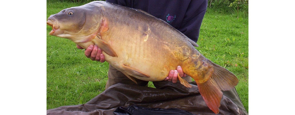 Mid Kent Fisheries Catch