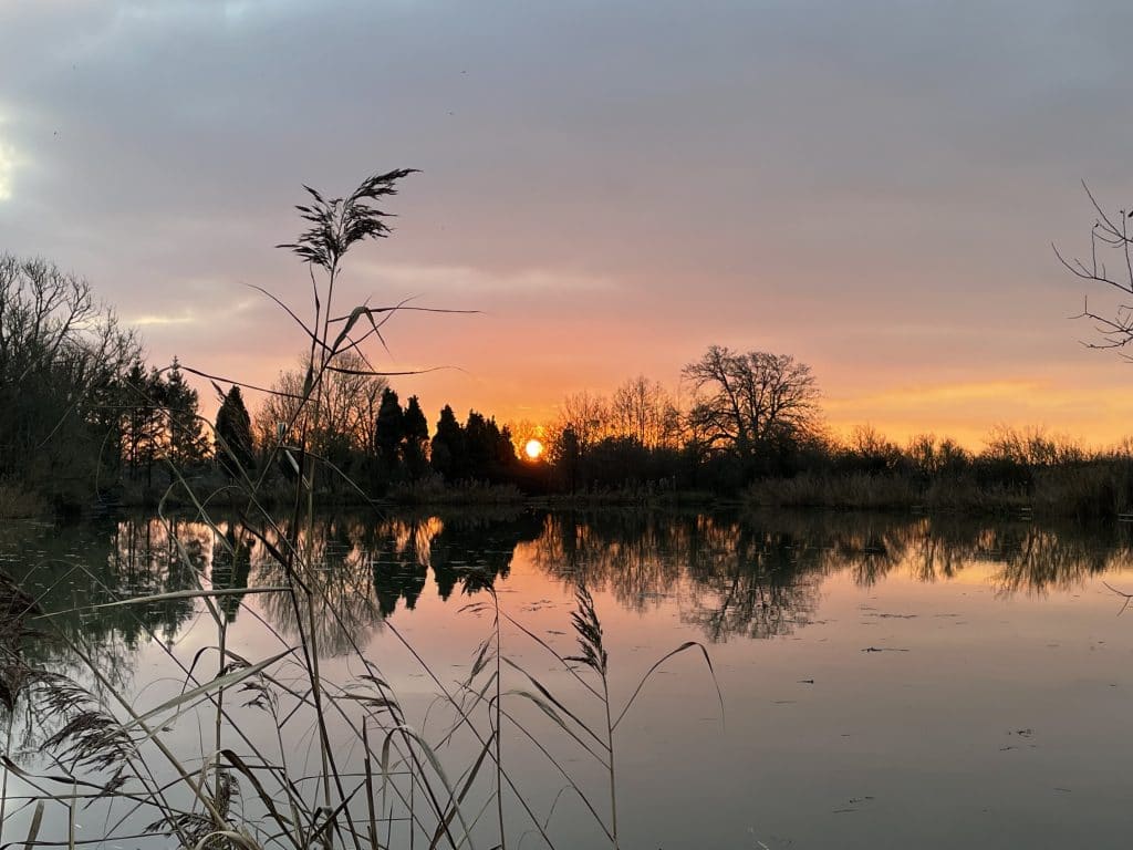 A lovely Sun rise while carp fishing